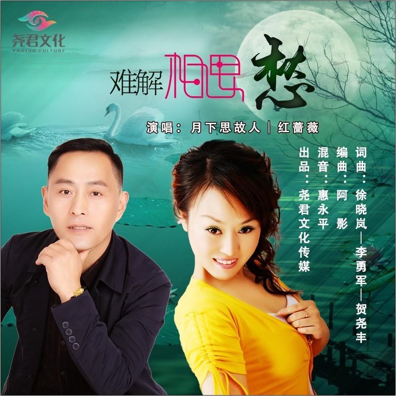 难解相思愁 (对唱版伴奏)封面