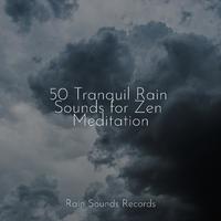 50 Tranquil Rain Sounds for Zen Meditation