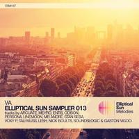 Elliptical Sun Sampler 013