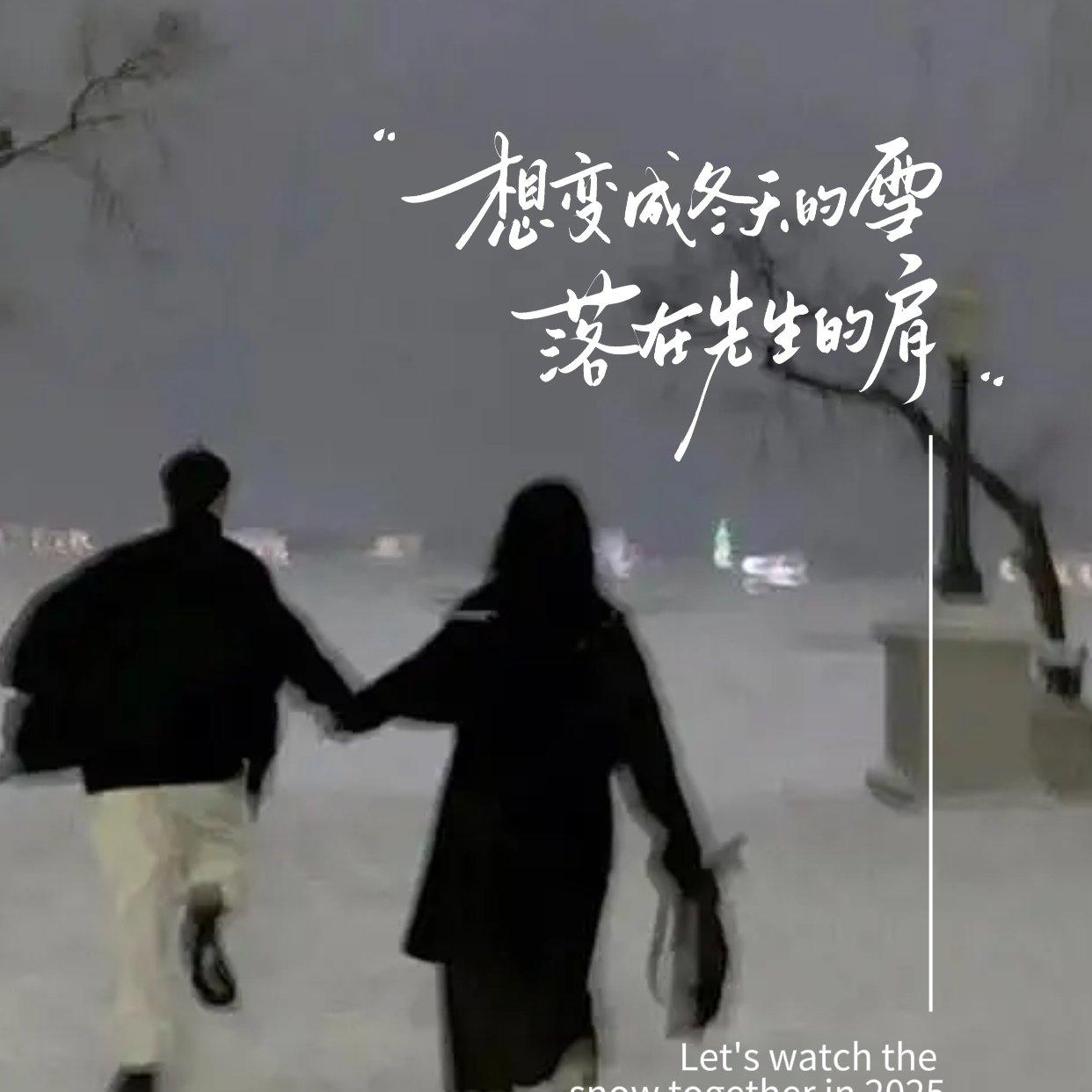 借你的半寸日光封面