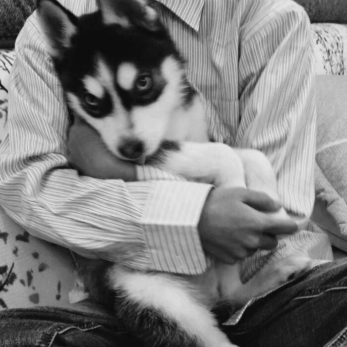 炫赫门封面