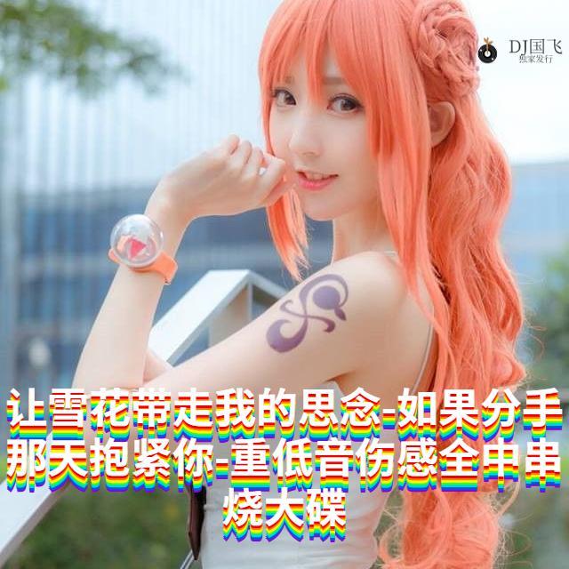 DJ国飞-让雪花带走我的思念-如果分手那天抱紧你-重低音伤感全中文串烧大碟(DJ国飞 remix)封面