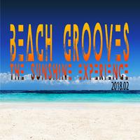 Beach Grooves - The Sunshine Experience 2018.02