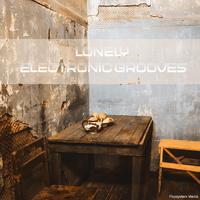 Lonely Electronic Grooves