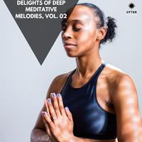 Delights of Deep Meditative Melodies, Vol. 02