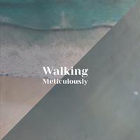 Walking Meticulously