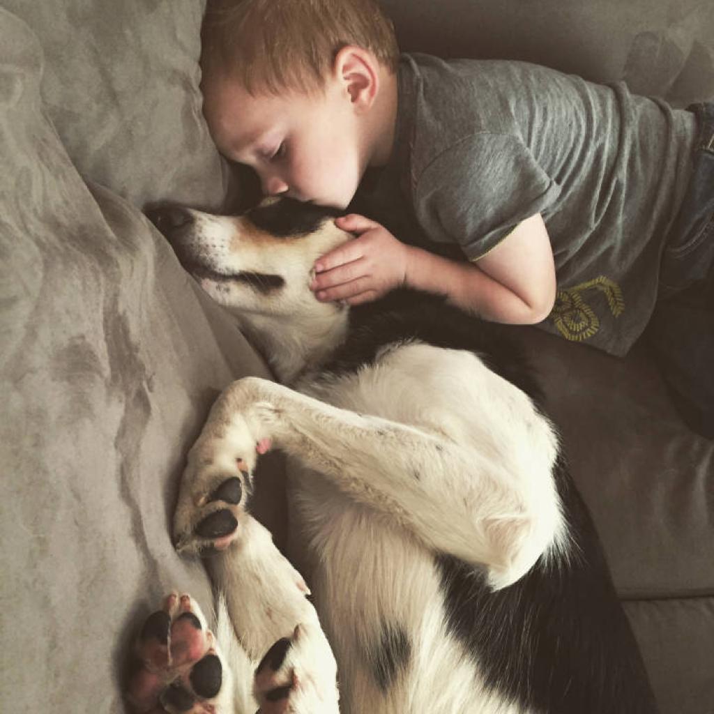 牛爷爷的emo瞬间