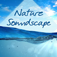 Nature Soundscape