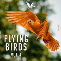 Flying Birds, Vol. 4