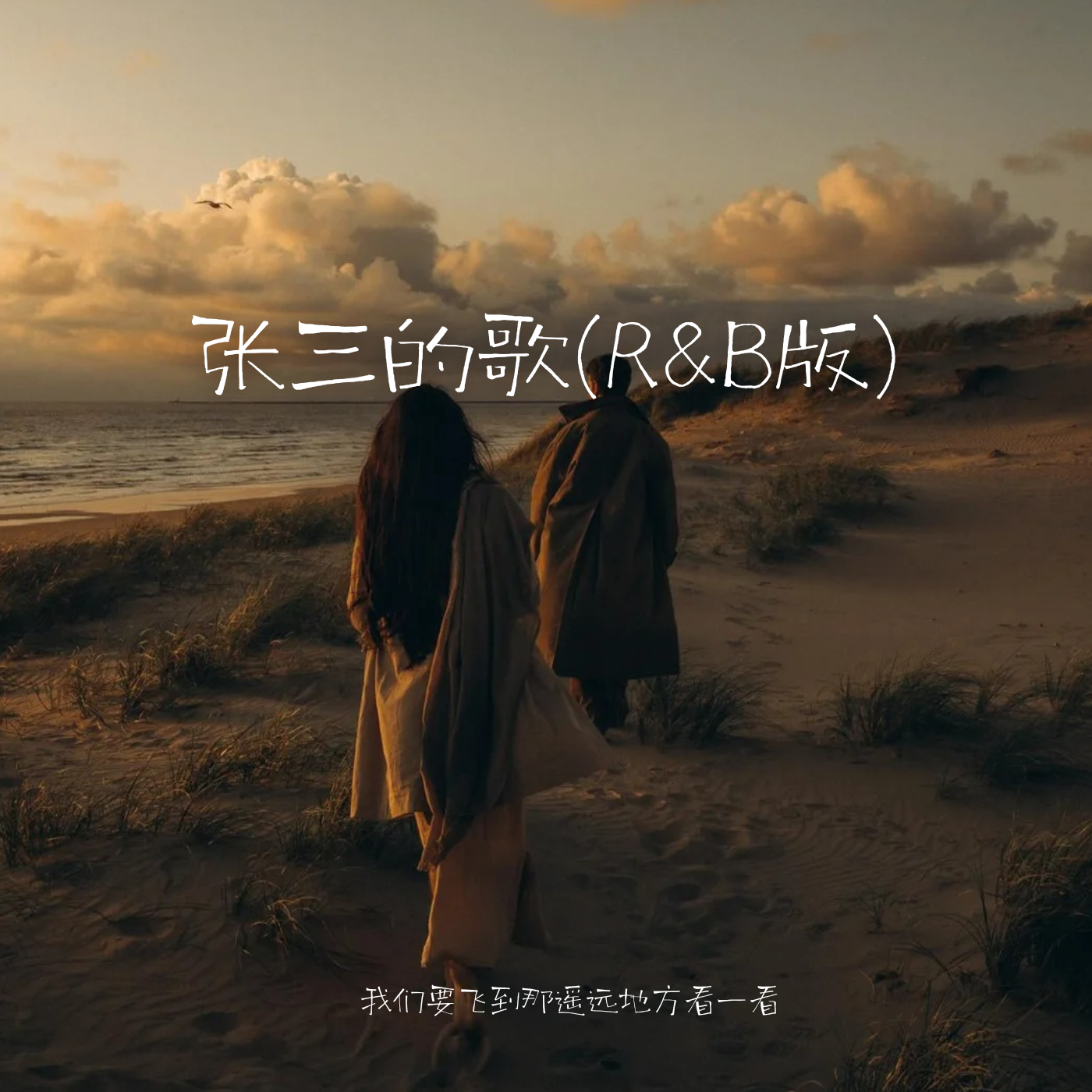 张三的歌(R&B版)封面