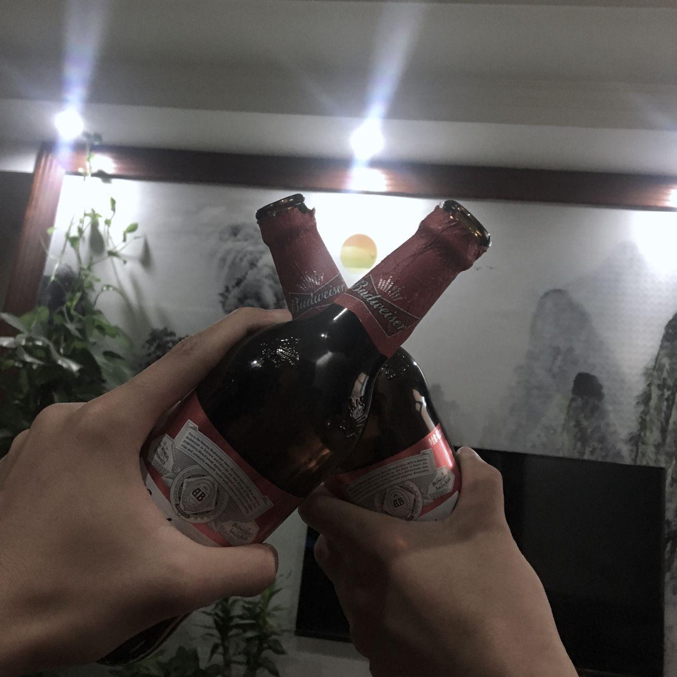 长椅封面