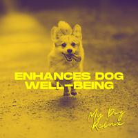 Enhances Dog Well-Being