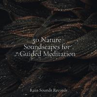 50 Nature Soundscapes for Guided Meditation