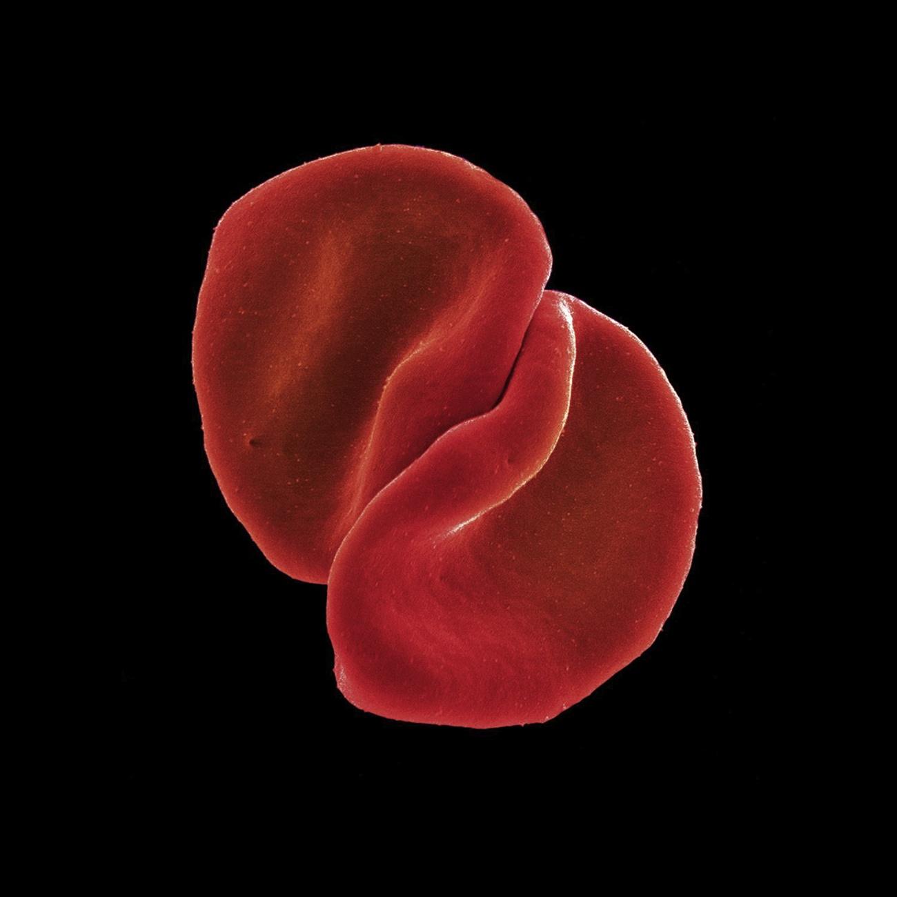 Scratch My Back-Peter Gabriel