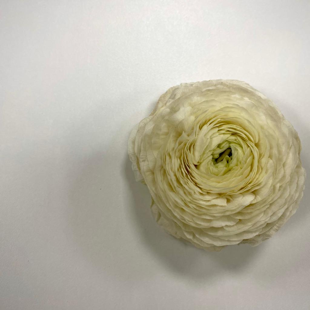 None/看书/图书馆/轻音乐