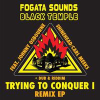 Trying to Conquer Remix EP