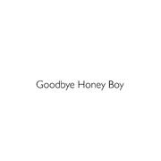 Goodbye Honey Boy