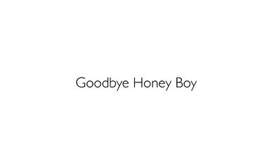 Goodbye Honey Boy