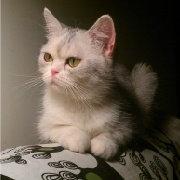 海内天涯忘了怎么玩儿