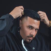 DJ PEDRO SCHMID