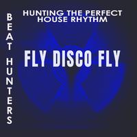 Fly Disco Fly (Beat Hunters)