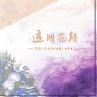 透明花期（《崩坏·星穹铁道》想象一朵未来的玫瑰支线原创衍生曲）