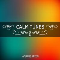 Calm Tunes, Vol. 07