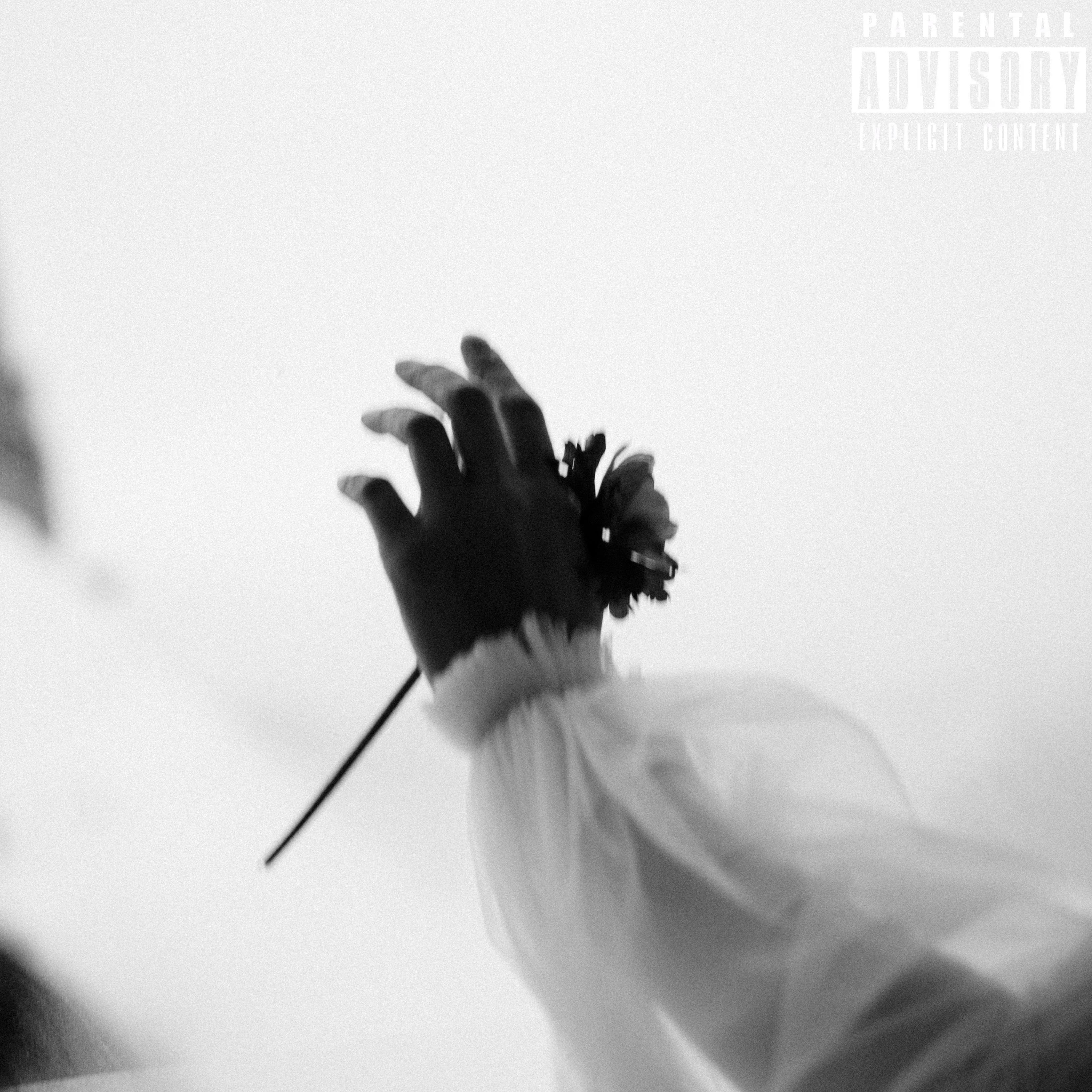 “我以为你会说的”