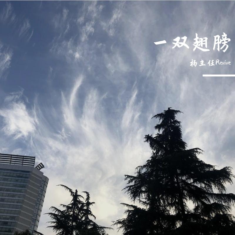 独醉街头 - 杨主任Revive封面