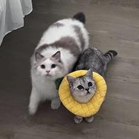 硒梦