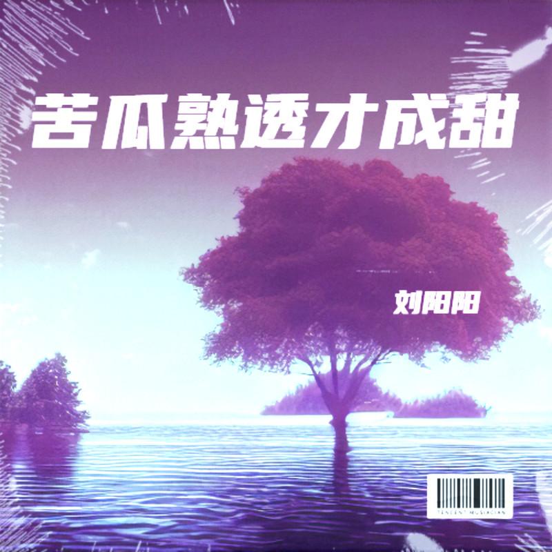苦瓜熟透才成甜-DJ小刚版 (Demo) - 刘阳阳封面