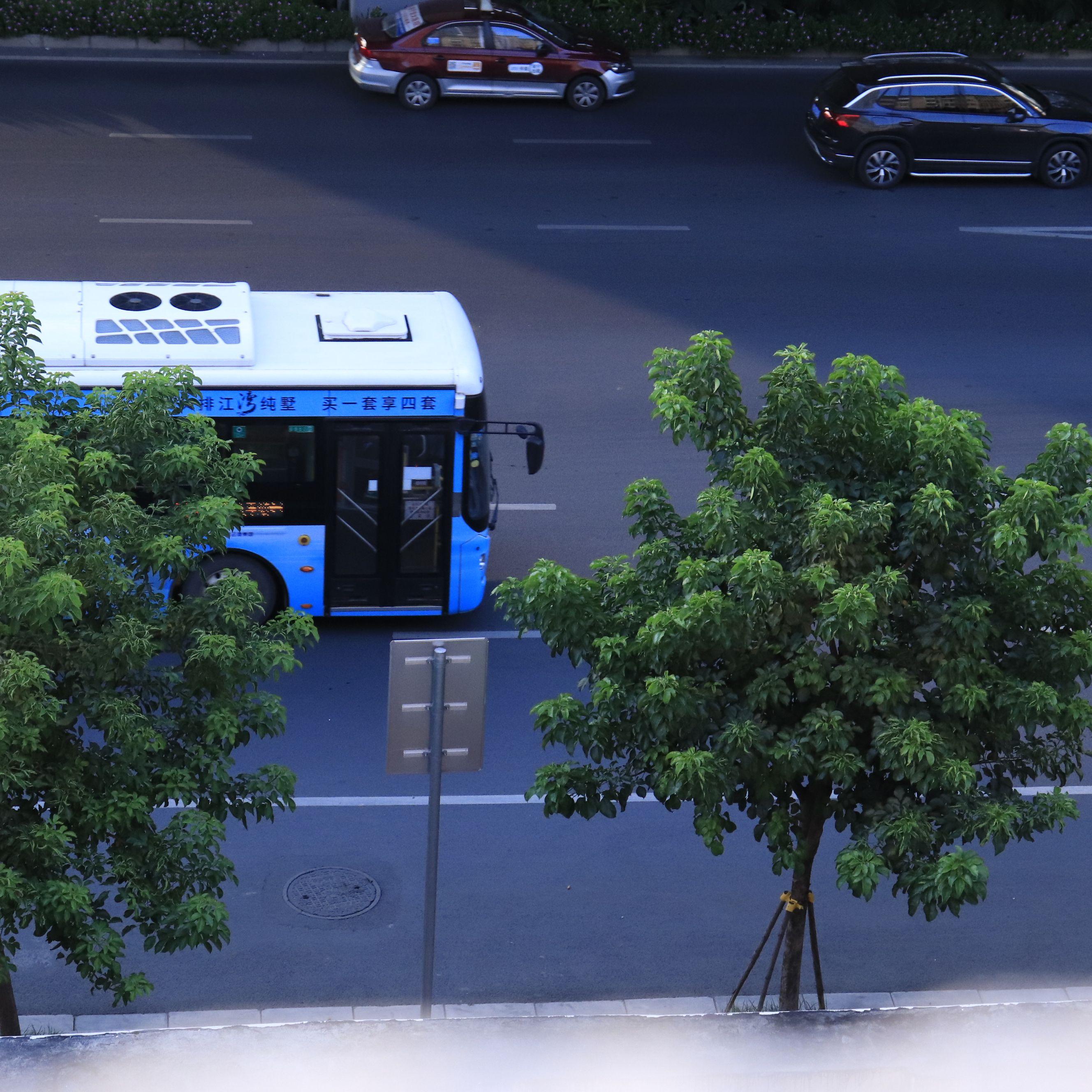 黑夜问白天不懂夜的黑