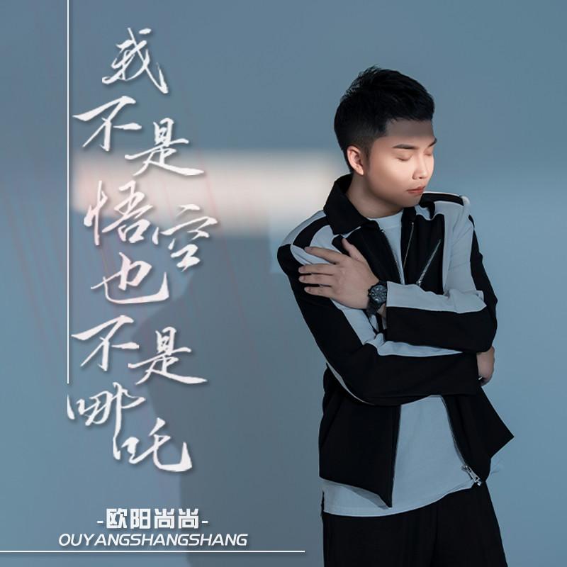 我不是悟空也不是哪吒 (伴奏)封面
