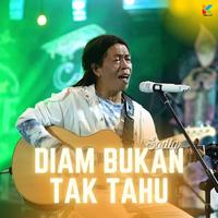 Diam Bukan Tak Tahu (Cover)