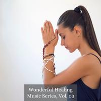 Wonderful Healing Music Series, Vol. 03