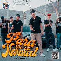 Para mi es normal (feat. Los CuatesMX)