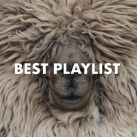 Best Playlist