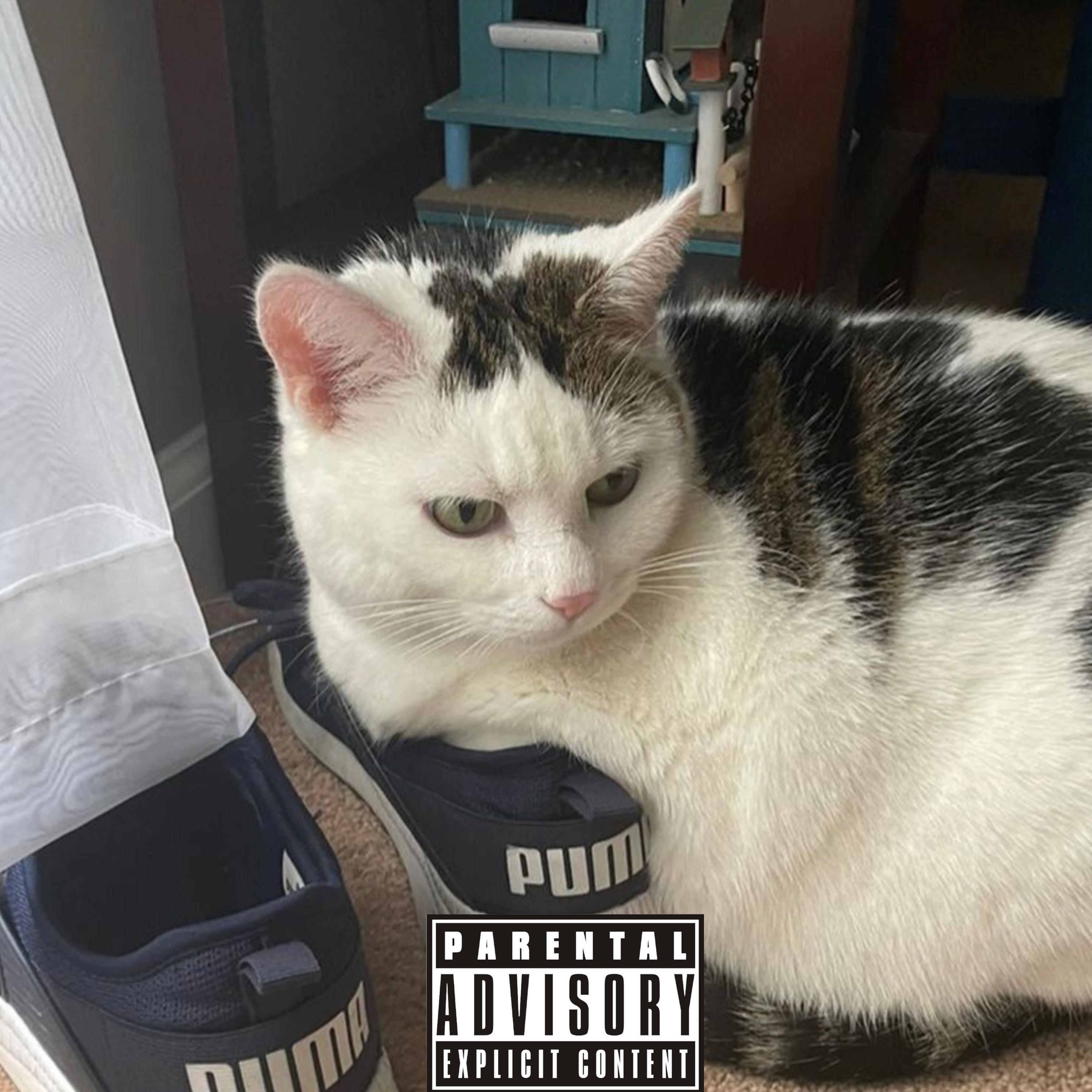 LYNX (feat. Kuromang)