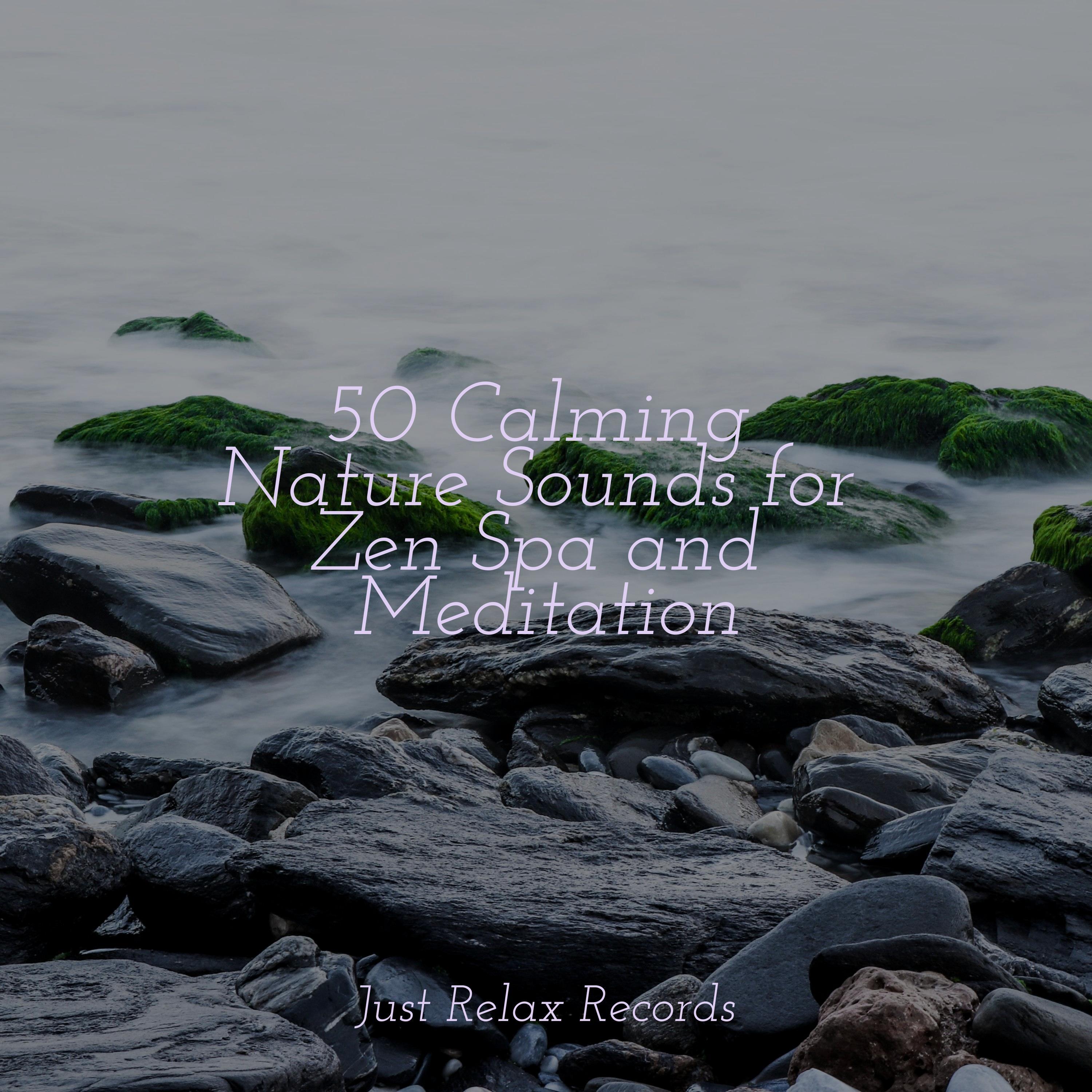 50 Calming Nature Sounds for Zen Spa and Meditation - Nature Sound ...