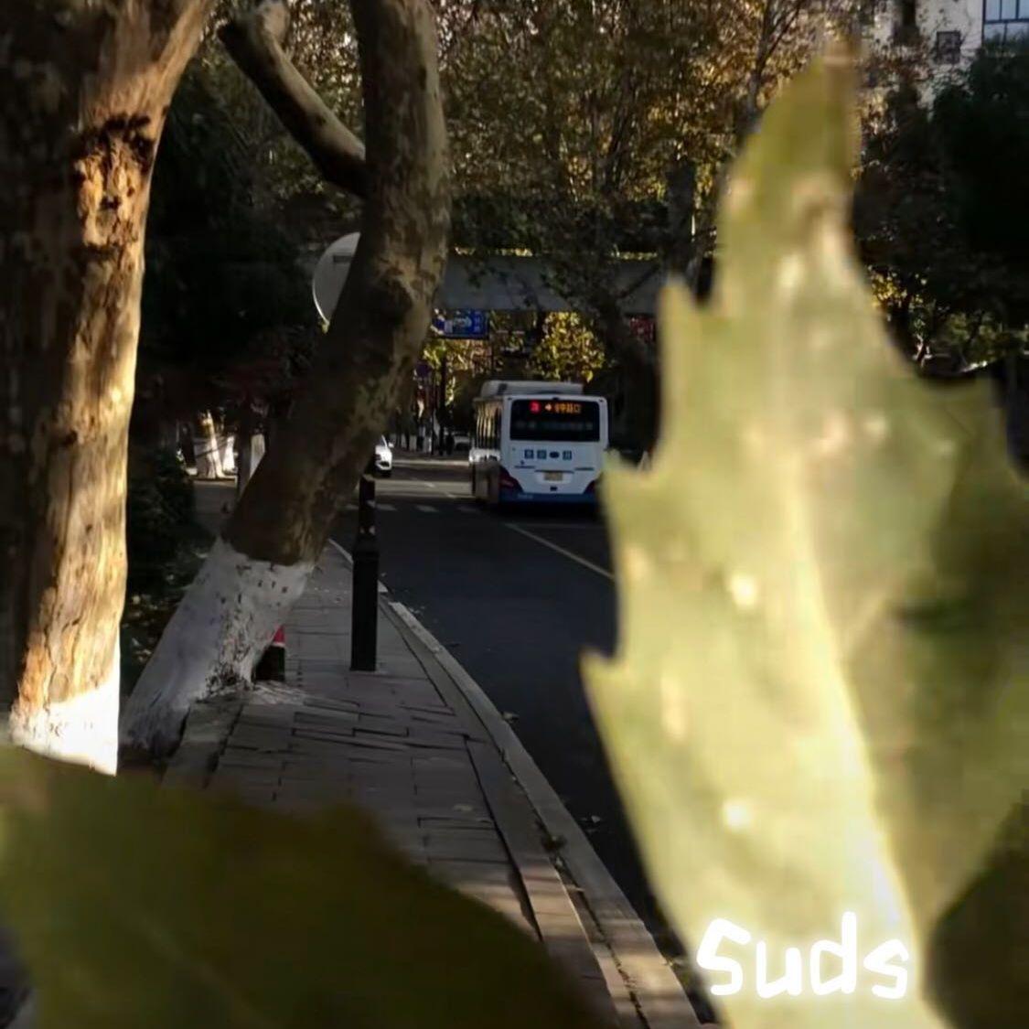 门内门外 - 麦提suds封面