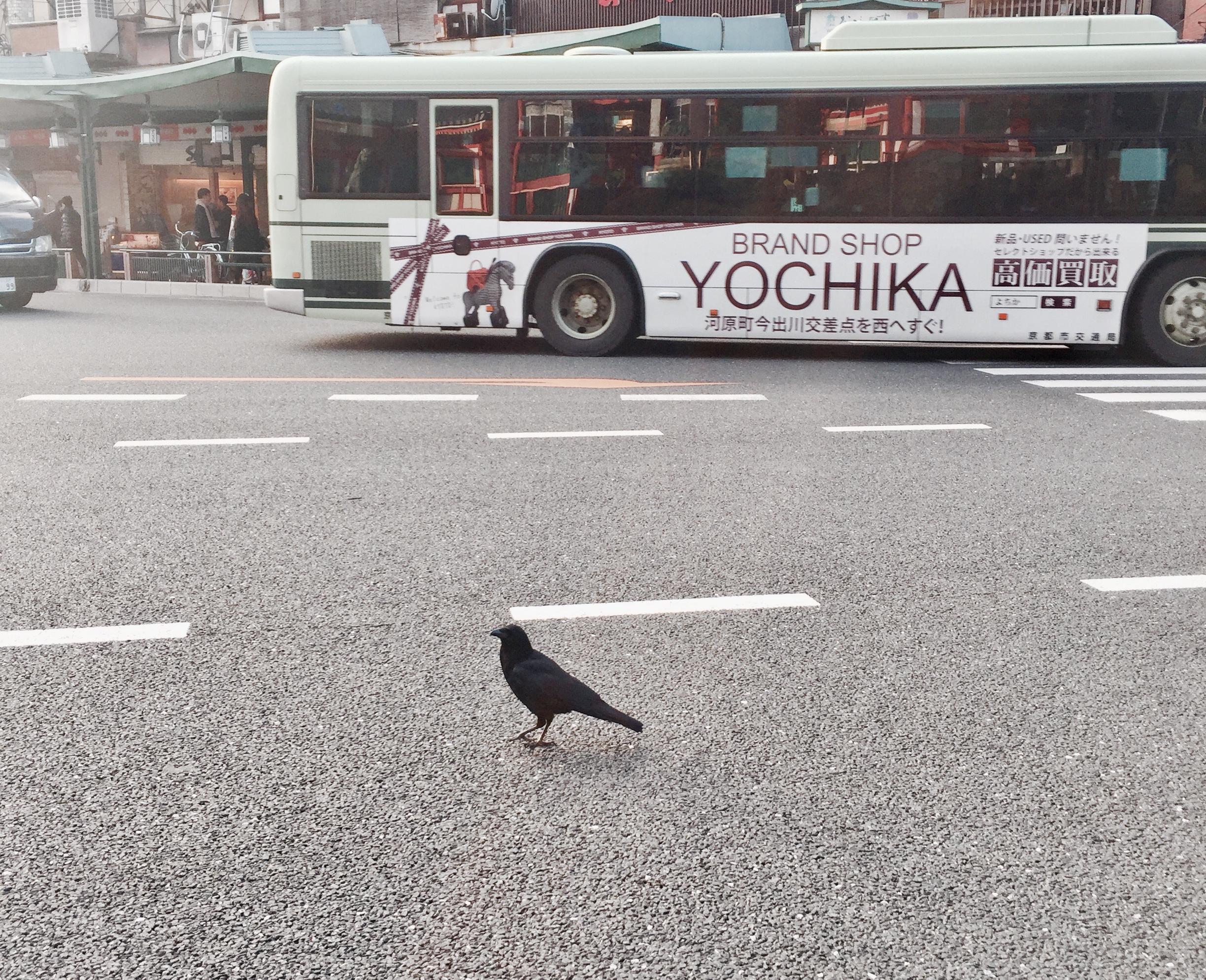 单子玹
