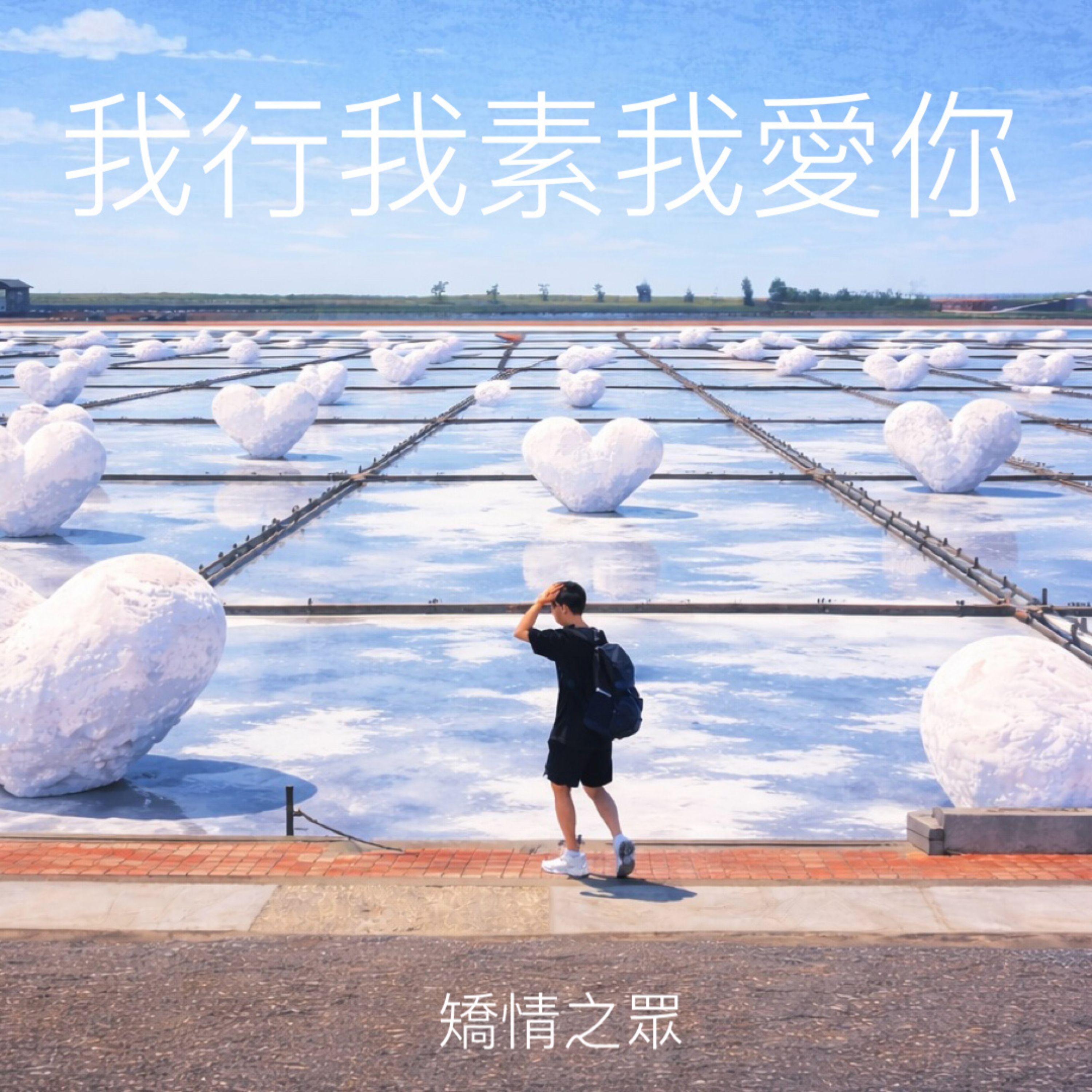 我行我素我爱你封面
