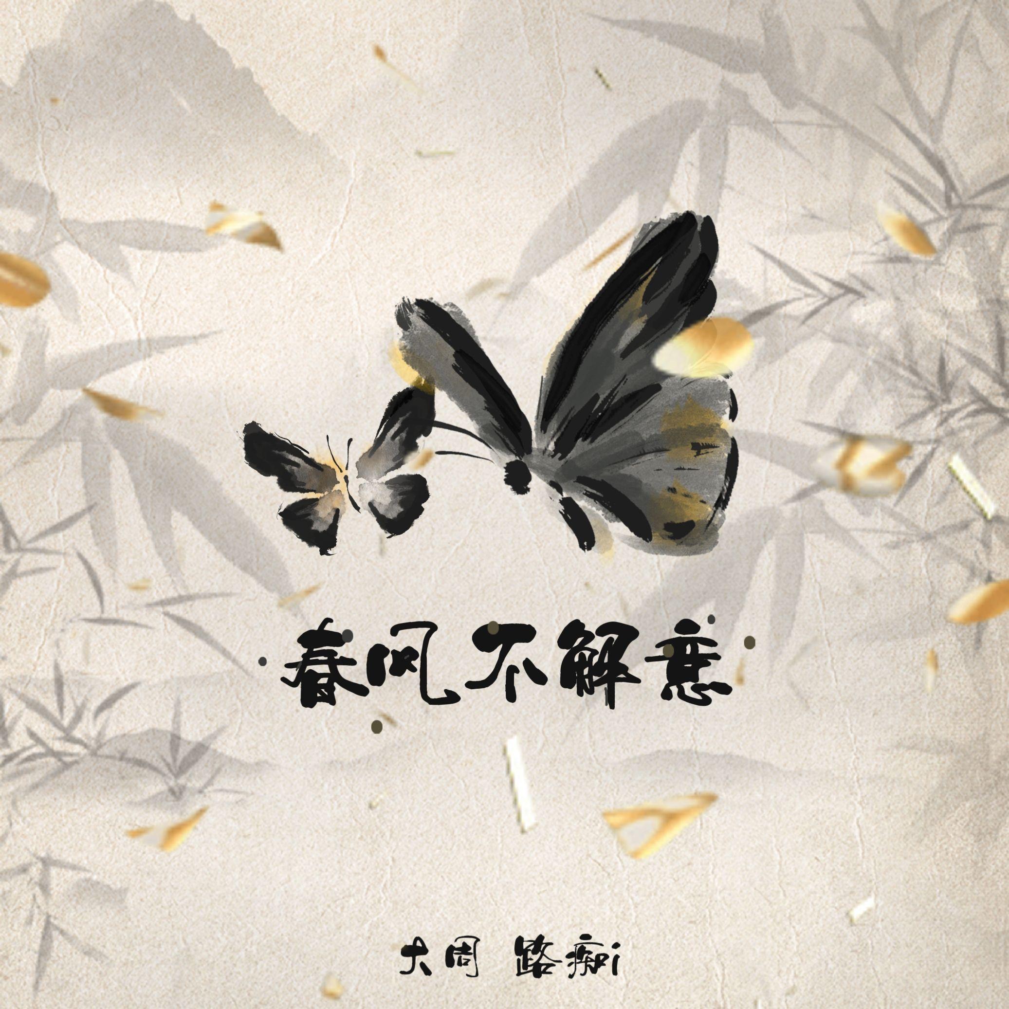 春风不解意封面