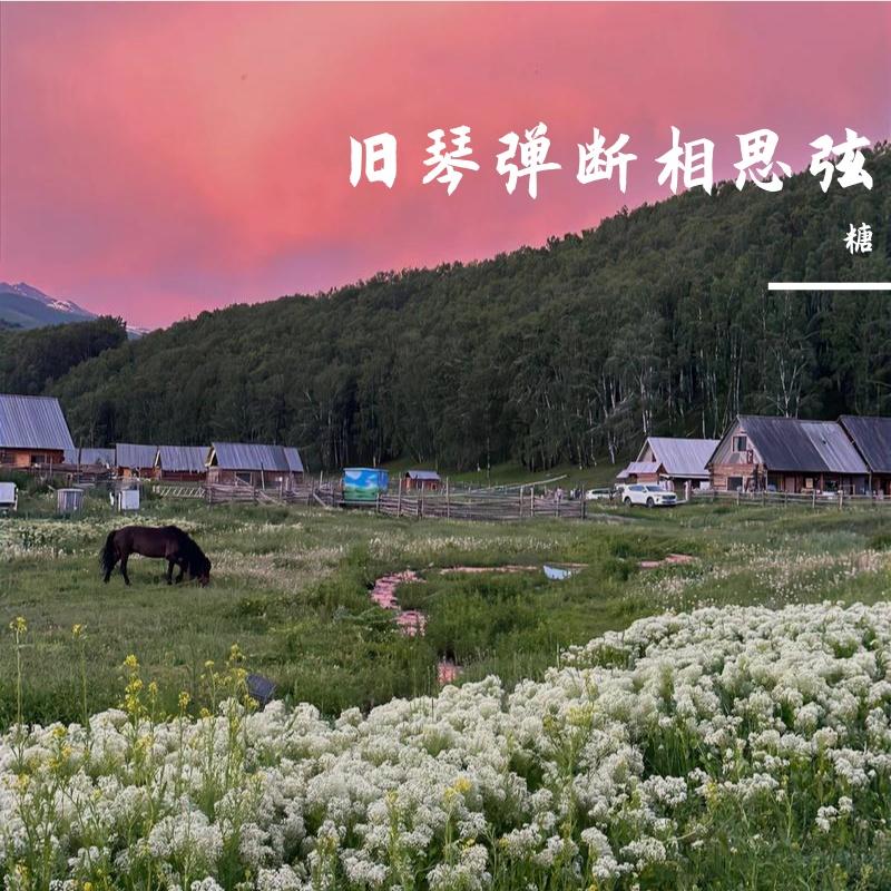 石巷苔痕覆旧履 - 失约的糖封面