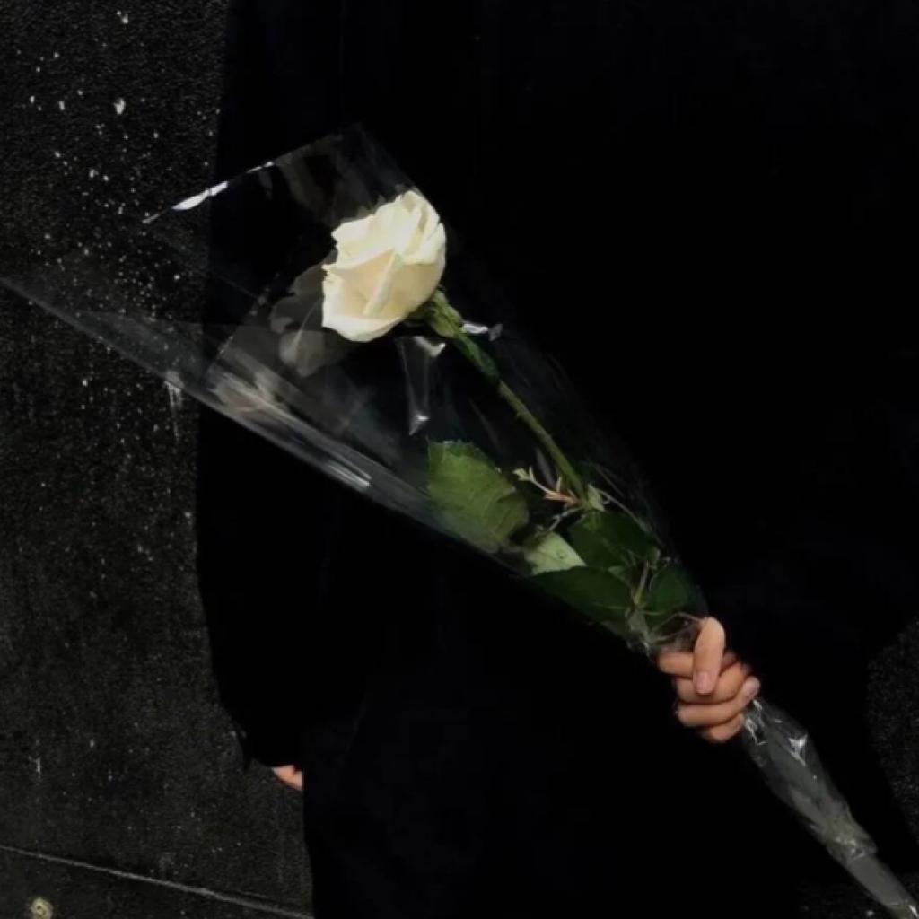 过年去看烟花吧