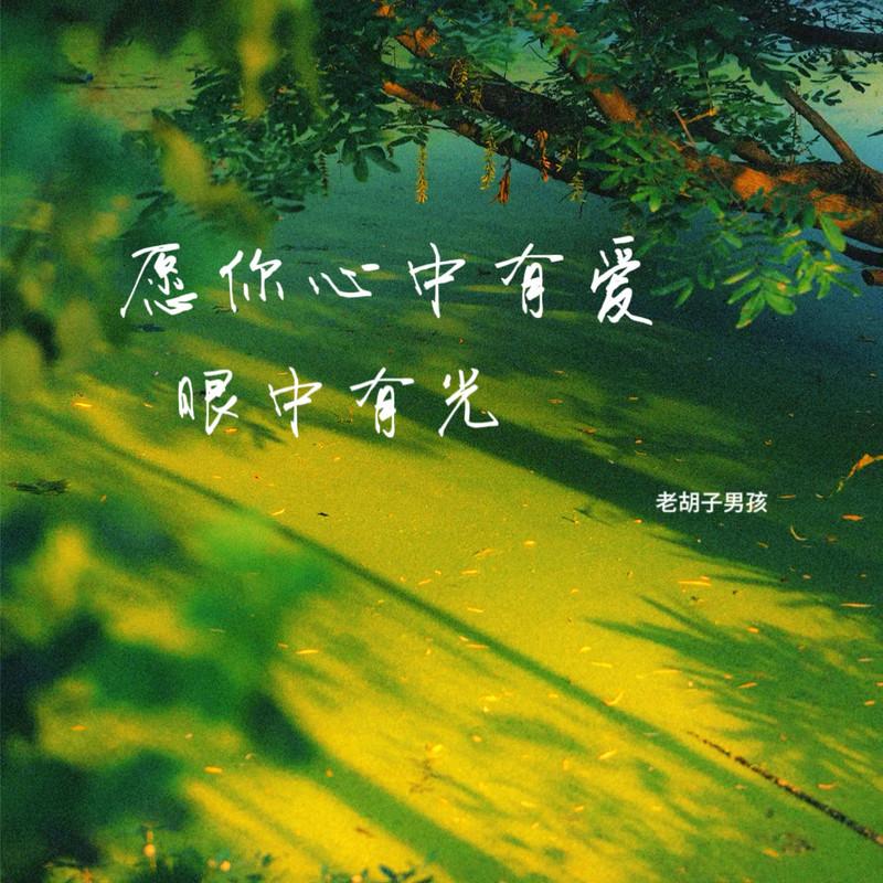 愿你心中有爱眼中有光封面