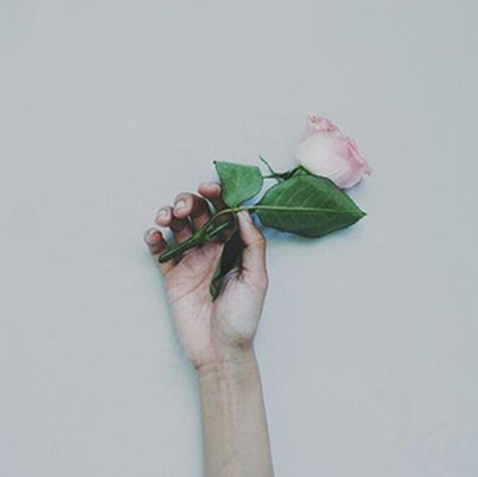 花枝春野（翻自 不才）封面