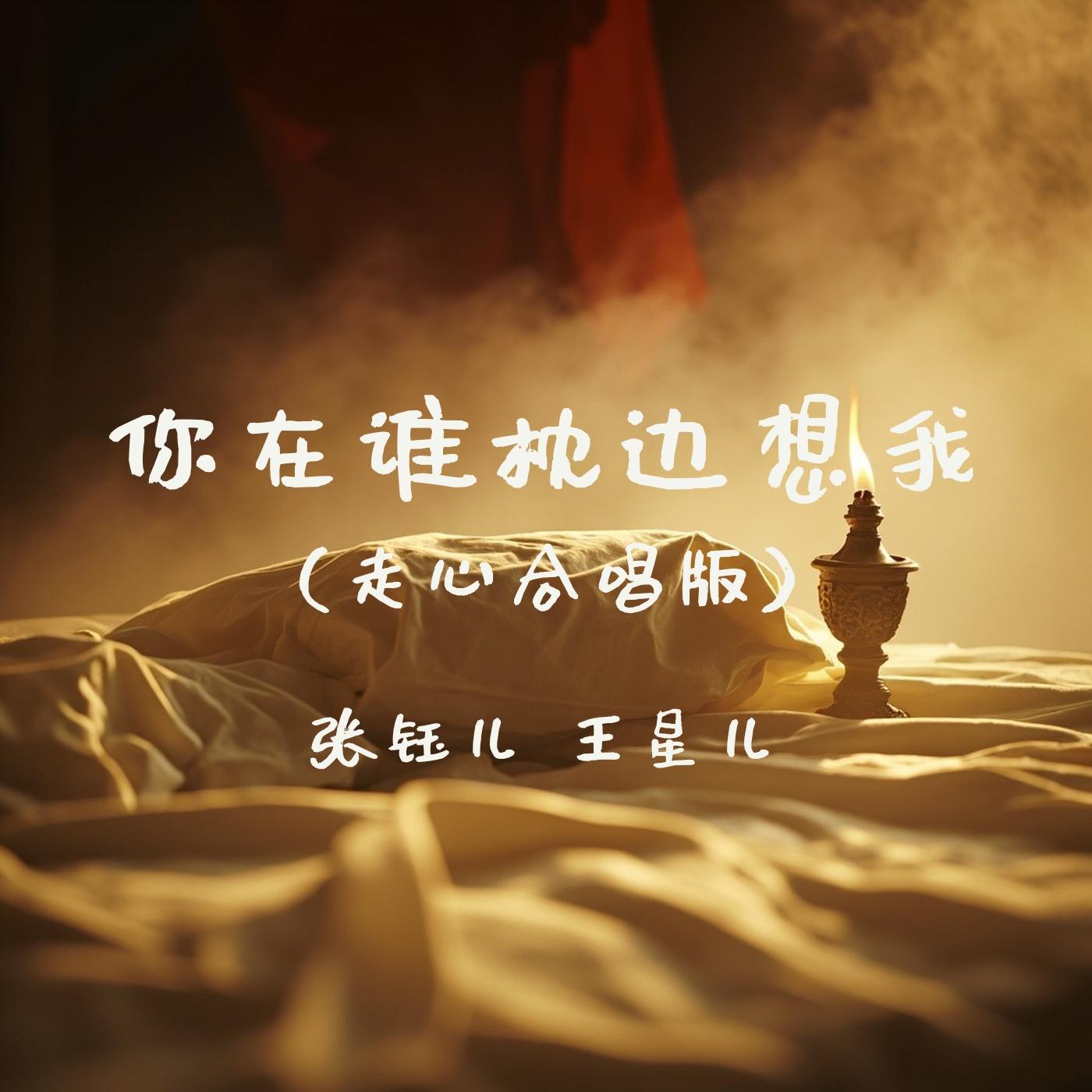 你在谁枕边想我(走心合唱版)封面