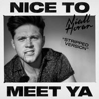 Nice To Meet Ya (Stripped Version)