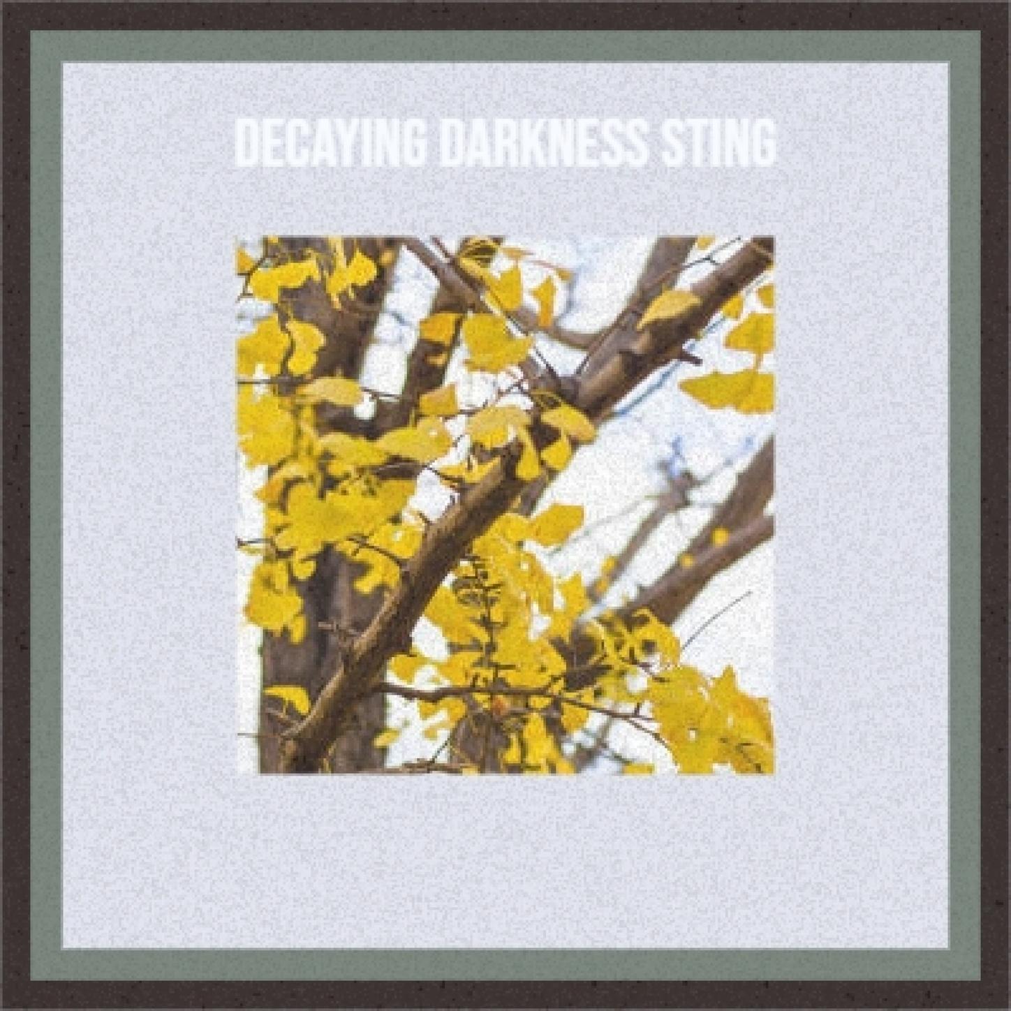 decaying darkness sting